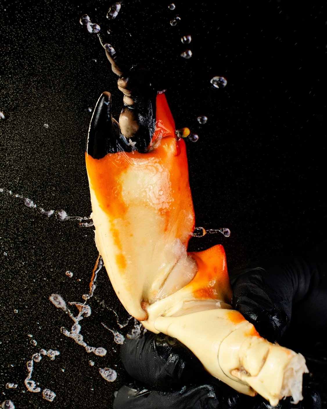 Pide una. Luego otra. Luego nos das las gracias. #santocangrejo #seafood #stonecrab #cangrejo