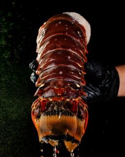 ¿Evento especial? Esta belleza no puede faltar en tu mesa. #seafood #santocangrejo #lobster #langosta #campeche