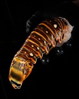 El lujo del mar, directo a tu mesa.
Cola de langosta del Caribe, carne firme, dulce y perfecta para lucirte en la parrilla o al horno.
📦 Disponible en tamaño grande y mediano.
✈️ Envíos a todo México #santocangrejo #seafood #langosta