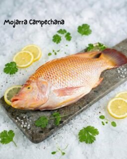 Fresca, deliciosa y lista para lucirse en tu mesa 🐟✨ Mojarra campechana, calidad que se nota desde la primera vista. #seafood #fish #santocangrejo #méxico