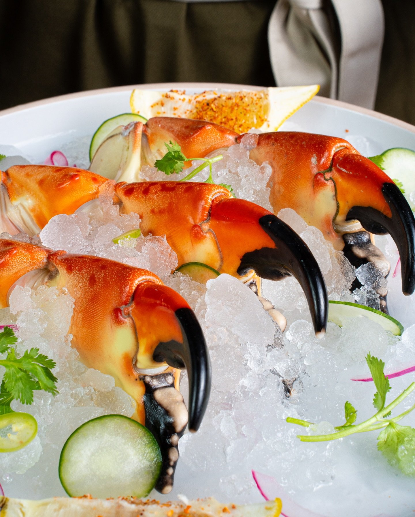 No es cualquier marisco. Es la joya del Golfo. 🦀
Tenazas de cangrejo moro, listas para conquistar cualquier mesa. #santocangrejo #seafood #mariscos #crab