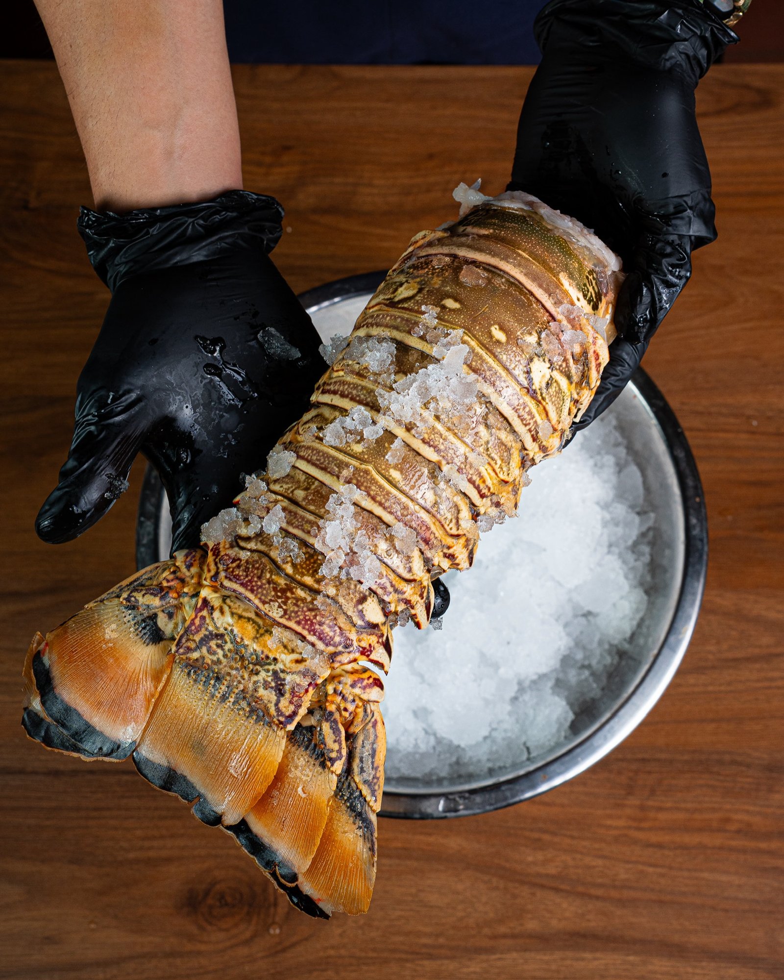 De esas piezas que no necesitan presentación. 🦞

Cola de langosta grande, carnosa y lista para convertirse en el plato fuerte.

¿Ya sabes cómo la vas a preparar?

#santocangrejo #lobster #langosta #mariscos #campeche